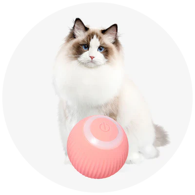 Pet Supplies
