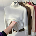 🎁New Year Sale-50% OFF🎁Winter Fleece Thick Knitted Bottoming Sweater(Buy 2 Free Shipping Today!)