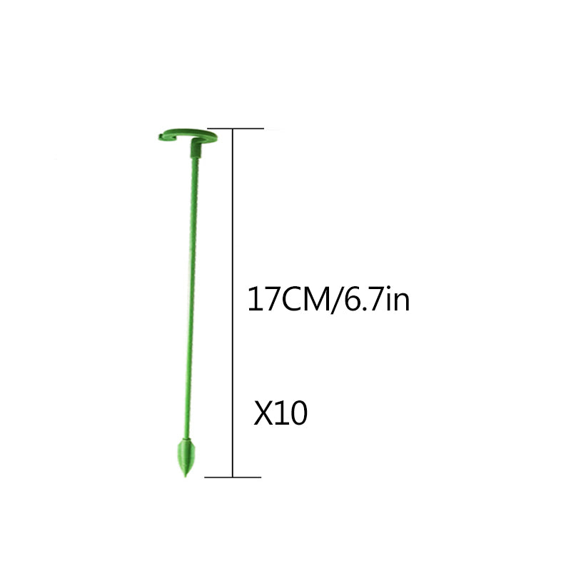 🌺55% OFF🌿Plant Support Stake