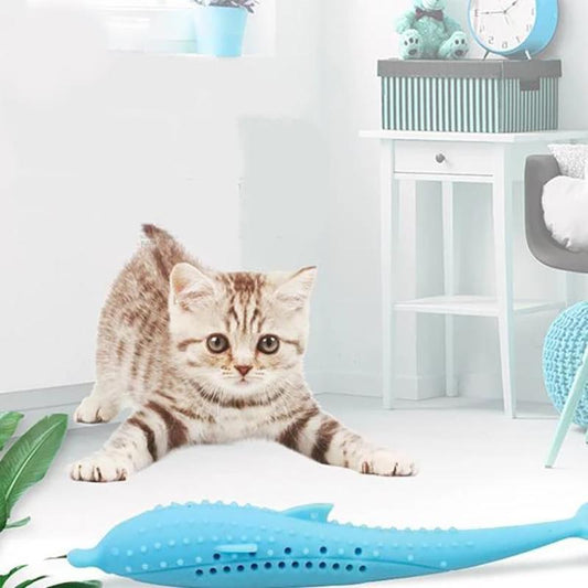 Interactive Cat Dental Toy