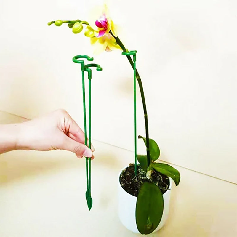 🌺55% OFF🌿Plant Support Stake