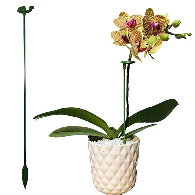 🌺55% OFF🌿Plant Support Stake
