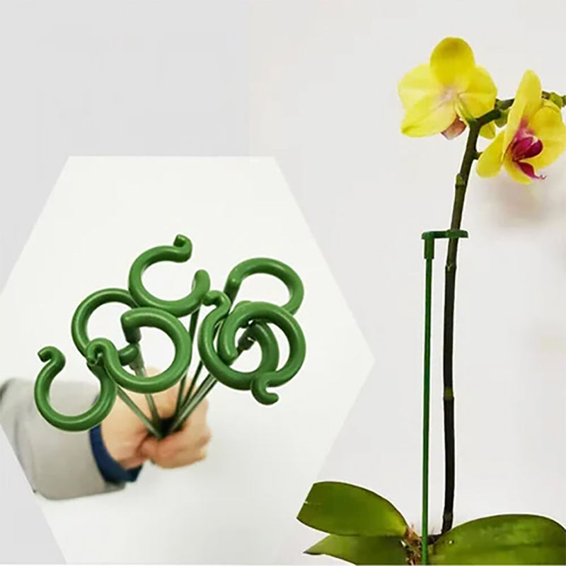 🌺55% OFF🌿Plant Support Stake