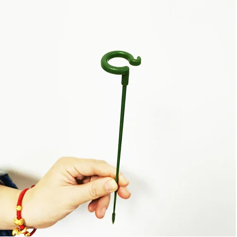 🌺55% OFF🌿Plant Support Stake