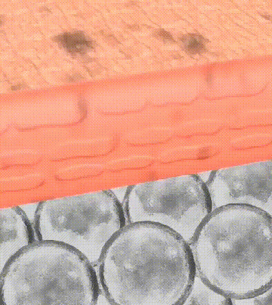 Spot Removal Moisturizer