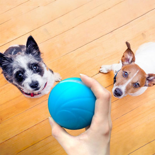 Motion Ball