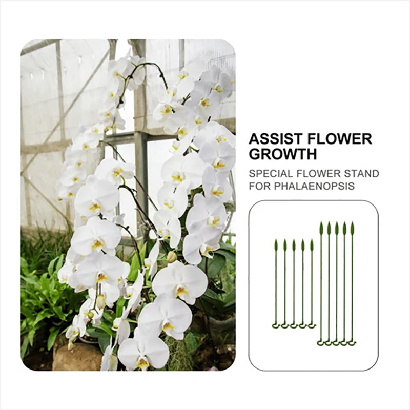 🌺55% OFF🌿Plant Support Stake