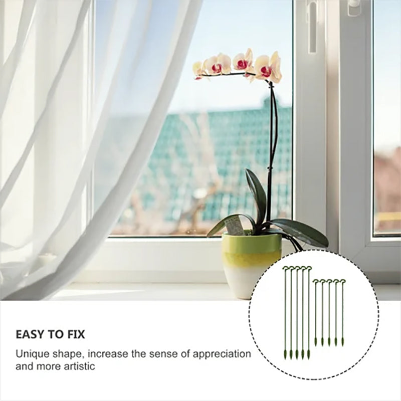 🌺55% OFF🌿Plant Support Stake