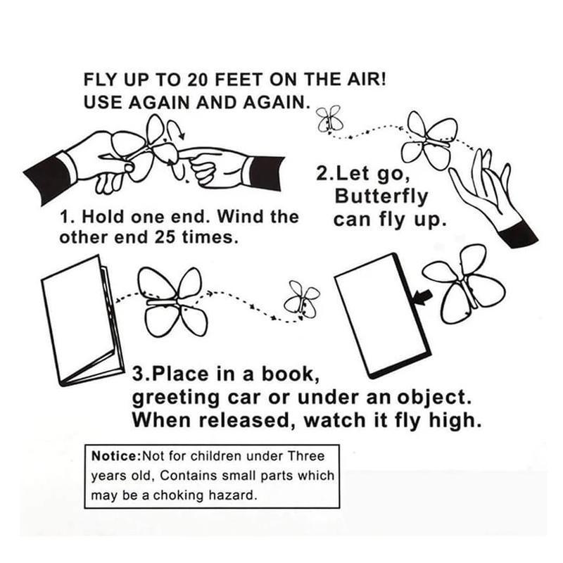 The Magic Flying Butterfly
