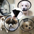 E-Collar for pets (8 sizes optional)