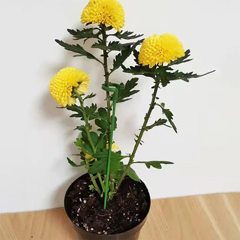 🌺55% OFF🌿Plant Support Stake