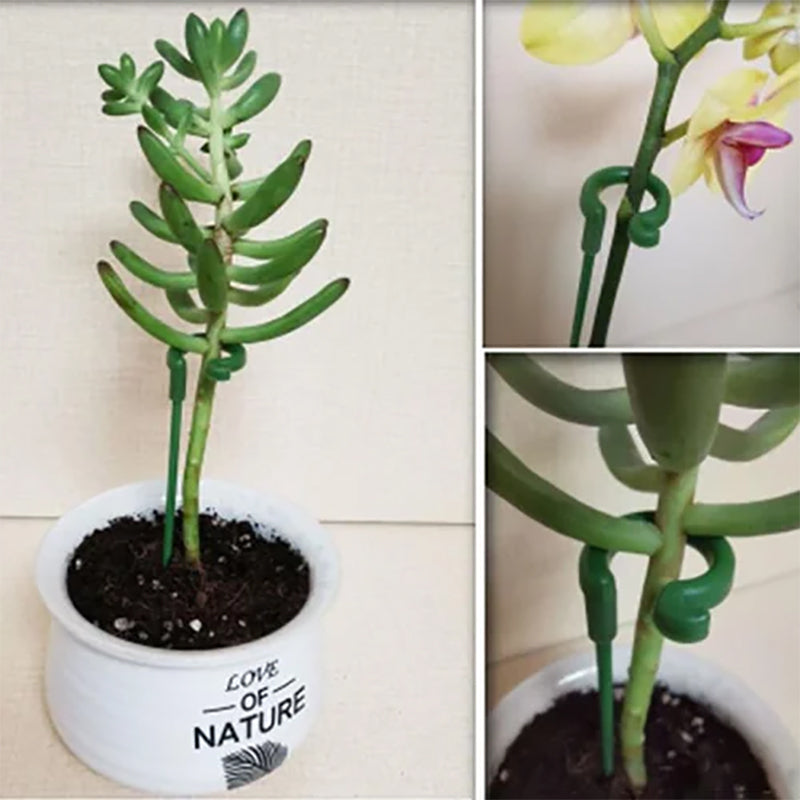 🌺55% OFF🌿Plant Support Stake