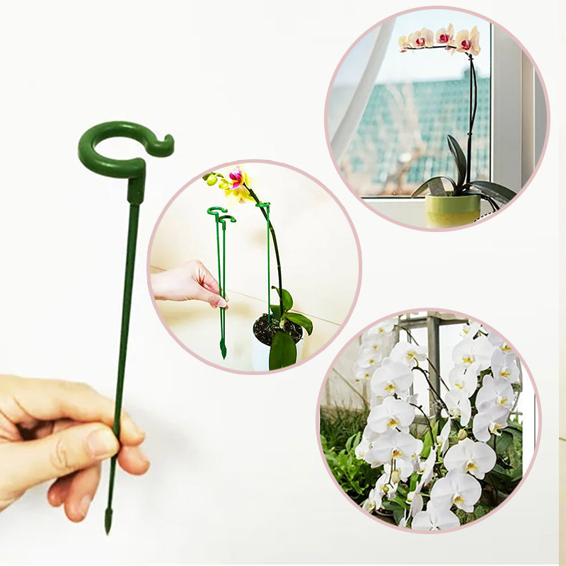 🌺55% OFF🌿Plant Support Stake