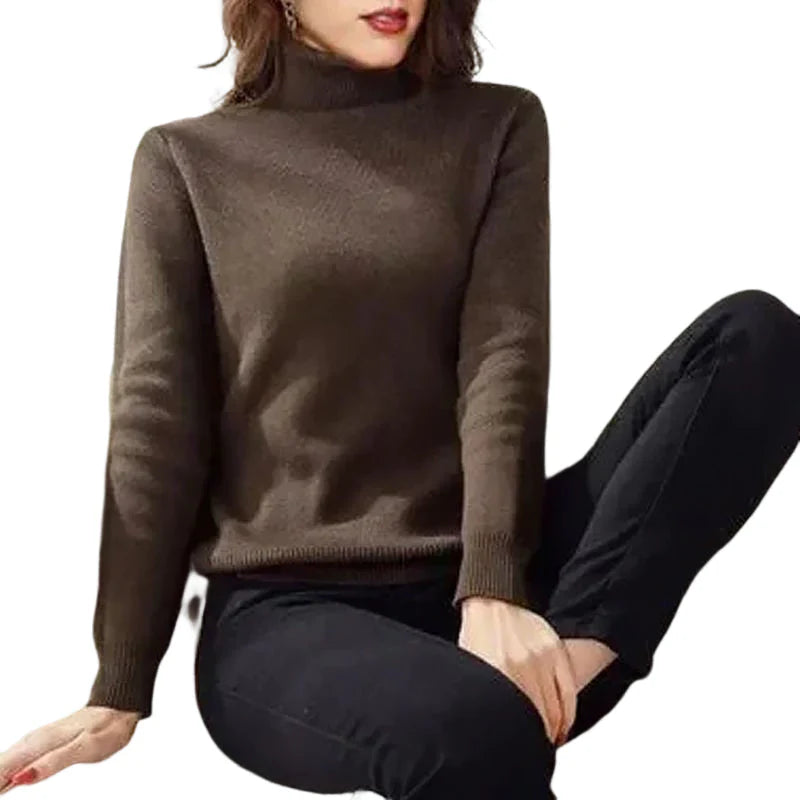 🎁New Year Sale-50% OFF🎁Winter Fleece Thick Knitted Bottoming Sweater(Buy 2 Free Shipping Today!)